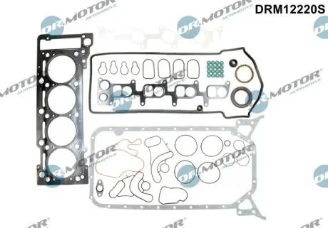 Комплект прокладок з різних матеріалів DR.MOTOR DRM12220S