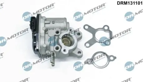 Клапан рециркуляции газов DR.MOTOR DRM131101