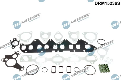 Прокладки комплект DR.MOTOR DRM15236S