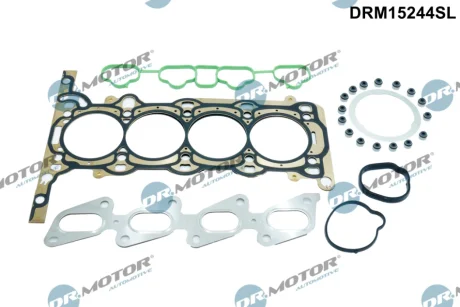 Прокладки комплект DR.MOTOR DRM15244SL