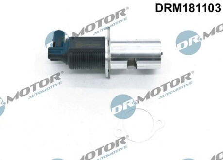 Клапан рециркуляции газов DR.MOTOR DRM181103