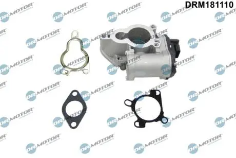 Клапан рециркуляции газов DR.MOTOR DRM181110