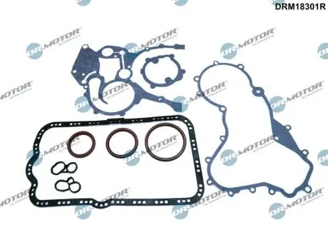 Комплект прокладок двигуна 9 елементiв DR.MOTOR DRM18301R