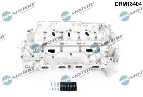 Головка блока DR.MOTOR DRM18404
