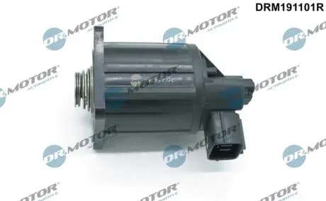 Pемкоплект клапану рециркуляцiї DR.MOTOR DRM191101R