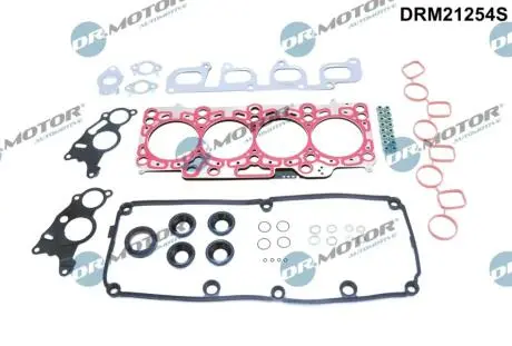 Комплект прокладок з різних матеріалів DR.MOTOR DRM21254S