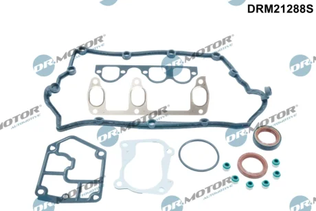 Комплект прокладок з різних матеріалів DR.MOTOR DRM21288S