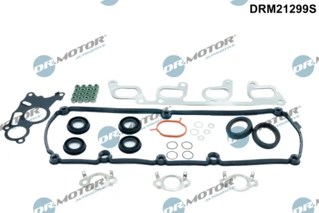 Прокладки комплект DR.MOTOR DRM21299S