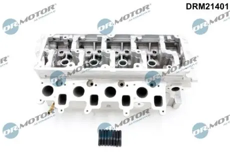 Головка блока DR.MOTOR DRM21401
