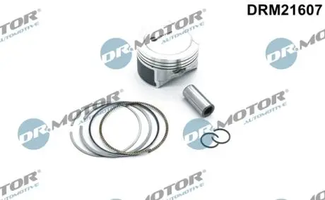 TЭOK VW 1,6 81,01 STD DR.MOTOR DRM21607