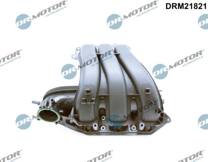 Впускний колектор FABIA III (NJ3), 08. DR.MOTOR DRM21821