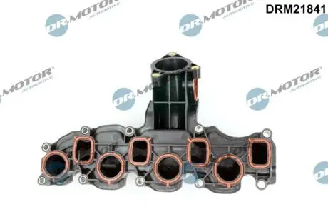 Автозапчасть DR.MOTOR DRM21841