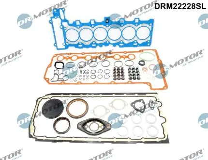 Комплект прокладок двигуна 83 елементи DR.MOTOR DRM22228SL