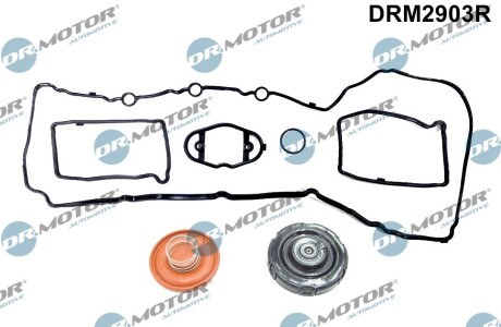 Комплект прокладок из разных материалов DR.MOTOR DRM2903R (фото 1)