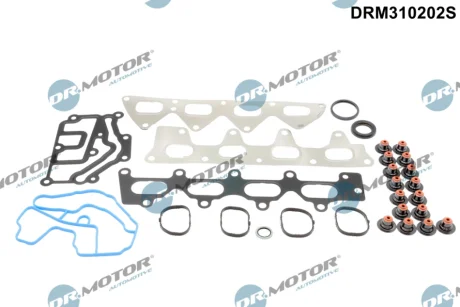 Прокладки комплект DR.MOTOR DRM310202S