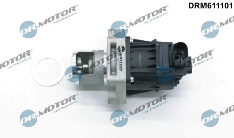 Клапан рециркуляції газів DR.MOTOR DRM611101