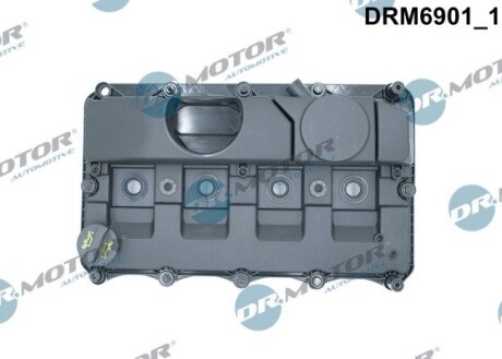 Кришка головки циліндра FORD TRANSIT 2,4TDCI 06- Z USZCZELKд DR.MOTOR DRM6901