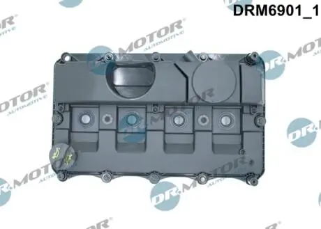 Крышка головки цилиндра FORD TRANSIT 2,4TDCI 06-Z USZCZELKд DR.MOTOR DRM6901