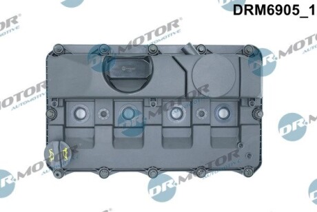 Кришка головки циліндра FORD TRANSIT 2,4TDCI 06- Z USZCZELKд DR.MOTOR DRM6905