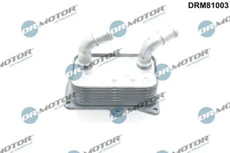 Автозапчасть DR.MOTOR DRM81003