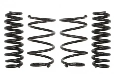 Комплект пружин (Pro-Kit) BMW 3 (E90) 04-11 (4 шт.) EIBACH E10-20-014-01-22