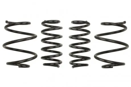 Комплект пружин (Pro-Kit) Mini Cooper 13- (F55/F57) (4 шт.) EIBACH E10-57-004-04-22