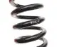 Пружина (задняя) MB E-class (S210) 2.0-3.2 96-03 (с сист.рег.дорож.прос..) EIBACH R10507 (фото 2)