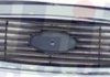 Решетка радиатора LKQ 2554 990 (фото 1)