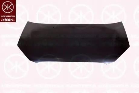 Капот LKQ 3127 281