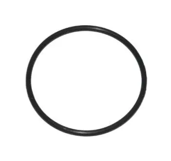 Кільце ущільнююче турбіни BMW 5 (F10)/X5 (E70) 06-15 (N63) (41x2mm) ELRING 003.520