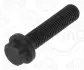 Болт кріплення кришки шатуна VW Caddy IV 1.0-1.6 TSI 15- (M8x1x33) ELRING 038.820 (фото 1)