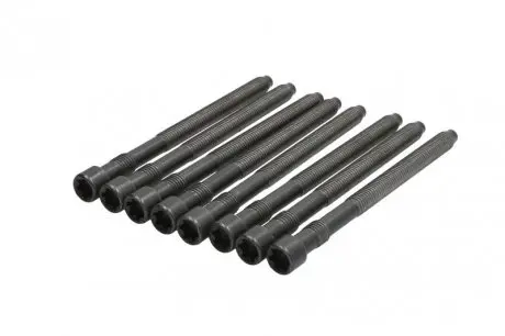 Болты головки (к-кт 8шт).) VW Passat 2.0i 01-05 (M10x132mm) ELRING 057.450