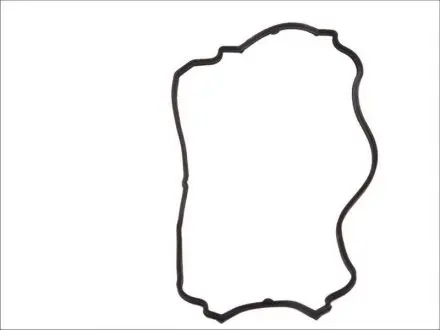 Прокладка крышки клапанов Renault Kangoo/Twingo 1.2 16V 01- ELRING 194.020
