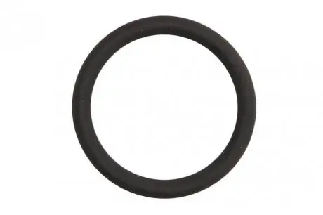 Уплотнительное кольцо ELRING 199.310