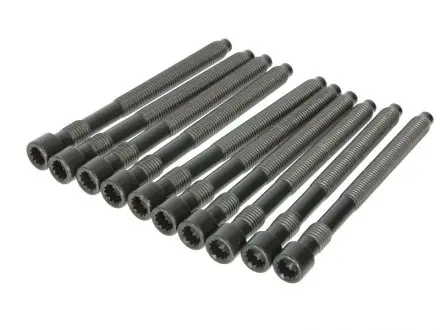 Болты головки (к-кт 10шт).) Audi A4/A6/A8/VW Touareg 3.7/4.2 98-08 ELRING 215.000