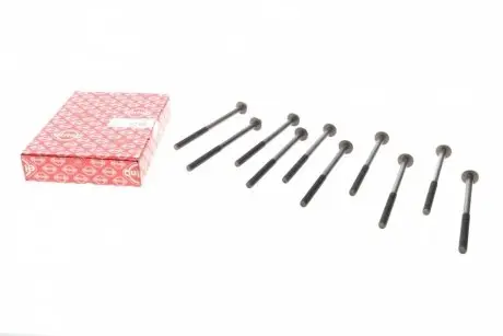 Болты головки (к-кт 10шт).) BMW 3 (E90/F30/F80/G20/G80)/5 (E60/F10/G30/F90)/X5 (F15/F85) 03- N47 D20 ELRING 233.370