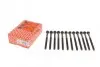 Болты головки (к-кт 12шт).) Volvo C30/S40/S60/S80/V50/V70/XC60/XC70/XC90 2.4 D5 01-14 ELRING 270.130 (фото 1)