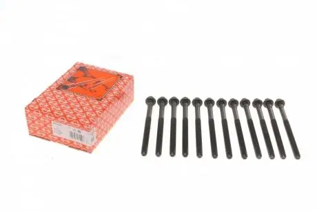 Болты головки (к-кт 12шт).) Volvo C30/S40/S60/S80/V50/V70/XC60/XC70/XC90 2.4 D5 01-14 ELRING 270.130