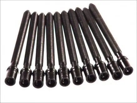 Болты головки (к-кт 10шт).) VW Passat 2.0 DTI 05-12 (M12x1.75x152) ELRING 305.430