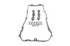 Прокладка крышки клапанов BMW 3 (E46)/5 (E39)/(E60) 2.0-3.0 00- (комплект) (+сальники)) ELRING 318.600 (фото 1)