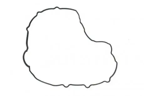Прокладка крышки клапанов Mazda 3/6/CX-7 2.2D 08-14 ELRING 341.010
