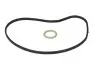 Прокладка помпы воды BMW 5 (E60)/7 (E65/E66/E67/F01-F04) 01-15 N62/N73/N74 ELRING 359.200 (фото 1)