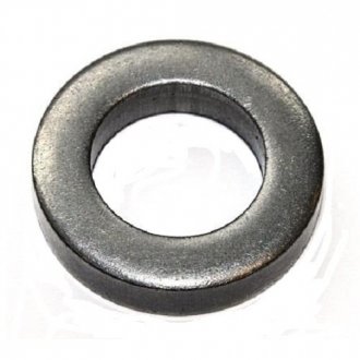 Уплотнительное кольцо ELRING 406.210 (фото 1)