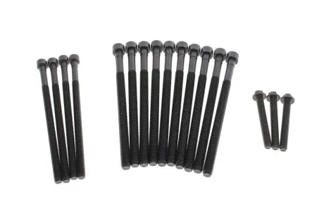 Болты головки (к-кт 10шт).) BMW X5 (F15/F85)/X6 (E71/E72) 07- N55 ELRING 459.450