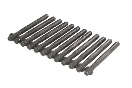 Болты головки (к-кт 12шт).) BMW 3 (E90)/5 (E60) 04-11 S65 ELRING 460.030