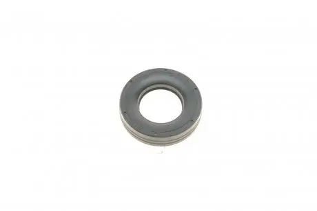 Уплотнительное кольцо свечного колодца Mini (R50/R52/R53) 01-08 ELRING 485.920