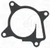 Прокладка водяний насос NISSAN 2,5 16V QR25DE ELRING 514.420 (фото 1)
