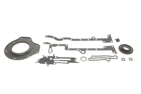 Комплект прокладок (нижній) Ford Transit 2.2 TDCi 11-14 ELRING 572.890