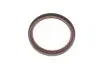 Сальник коленвала (задний) Audi A4/BMW 3 (E30)/Honda Civic VII/Daewoo Lanos 1.0-3.0 63- (80x98x10) ELRING 590.797 (фото 2)