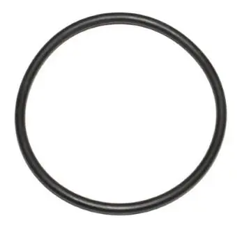 Прокладка помпы воды Ford Transit Connect 2.5 Duratec 13- ELRING 634.910 (фото 1)